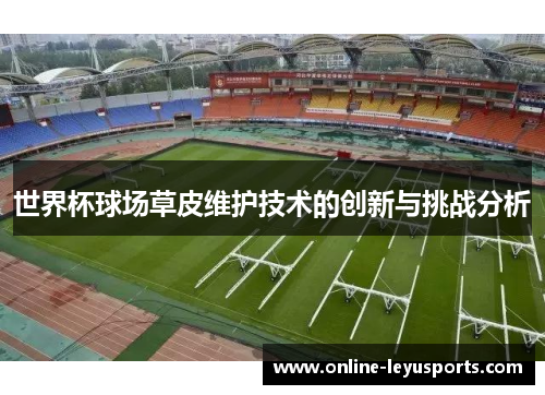 世界杯球场草皮维护技术的创新与挑战分析