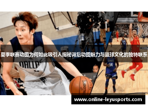 夏季联赛动图为何如此吸引人揭秘背后动图魅力与篮球文化的独特联系