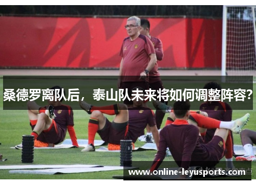 桑德罗离队后，泰山队未来将如何调整阵容？