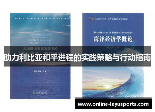 助力利比亚和平进程的实践策略与行动指南 助力利比亚和平进程的实践策略与行动指南