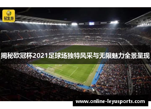 揭秘欧冠杯2021足球场独特风采与无限魅力全景呈现
