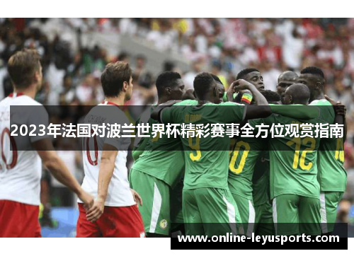2023年法国对波兰世界杯精彩赛事全方位观赏指南 2023年法国对波兰世界杯精彩赛事全方位观赏指南