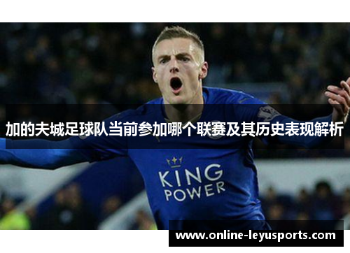 加的夫城足球队当前参加哪个联赛及其历史表现解析 加的夫城足球队当前参加哪个联赛及其历史表现解析